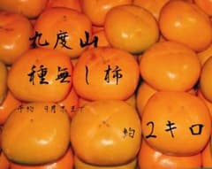 和歌山県 九度山産 たねなし柿 2kgのサムネイル