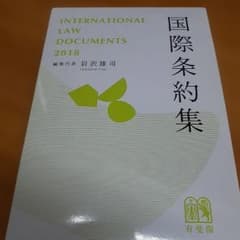 国際条約集のサムネイル