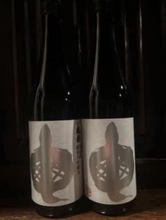 信州亀齢 美山錦 純米大吟醸 720ml 2本 岡崎酒造 上田 - メルカリ