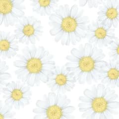 こたろう様　専用ページのサムネイル