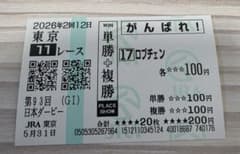 現地購入　第93回 日本ダービー がんばれ！馬券 ロブチェンのサムネイル
