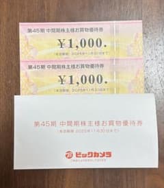 ビックカメラ 株主優待券 2枚セットのサムネイル