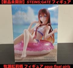 STEINS;GATE 슈타인즈·게이트 피규어 마키세 홍리스 피규어