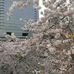 やま様専用ページのサムネイル