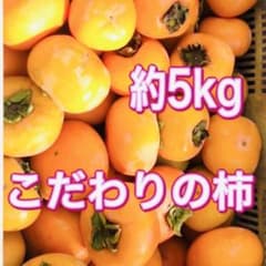 柿　中谷早生　約5キロ ご家庭用のサムネイル