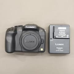 美品 LUMIX DMC-G6 ショット数2655枚 ミラーレス一眼 - メルカリ