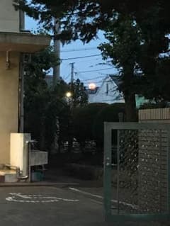 るん様専用のサムネイル