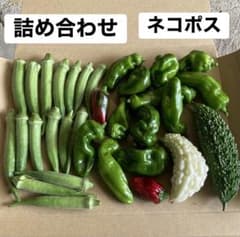 訳あり丸オクラ　訳ありミニピーマン　ミニゴーヤのサムネイル