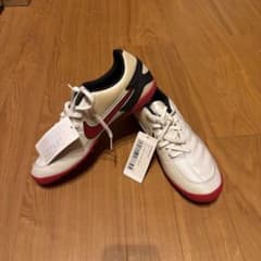 【激レア】　新品NIKEトレーニングシューズのサムネイル