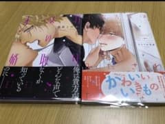 大人気 極道BLコミック オメガの婿取り / 黒井よだか  他2冊セットのサムネイル
