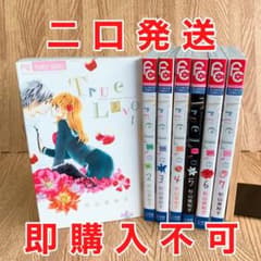 ①【まこ様専用】TrueLove  杉山美和子  全巻セットのサムネイル