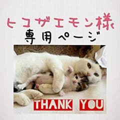 ヒコザエモン様【専用ページ】のサムネイル
