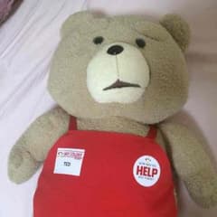 テッドTED ぬいぐるみ 美品のサムネイル