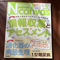 Nursing Canvas 情報収集とアセスメントのサムネイル