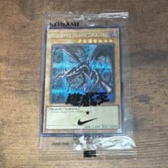 真紅眼の黒竜 遊戯王 ナイキ エアーマックス 95レッドアイズ・ブラック