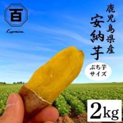 ＼ぷち芋サイズ／鹿児島産 安納芋 2㎏ さつまいも 訳あり2 - 5