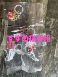 【すずめ様専用】明日のナージャ めじるしアクセサリー フルコンプセットのサムネイル