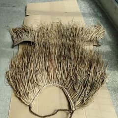 みのあみかっぱのサムネイル