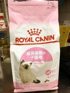 ロイヤルカナン キトン 2キロ 仔猫用のサムネイル