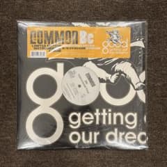 Common - Be INSTRUMENTAL 限定盤 レコード US盤 Common - Be INSTRUMENTAL 限定盤 レコード US盤 - メルカリ
