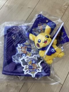サンフレッチェ広島×ポケモンセンターオンライン　ピカチュウ ぬいぐるみ　タオルのサムネイル