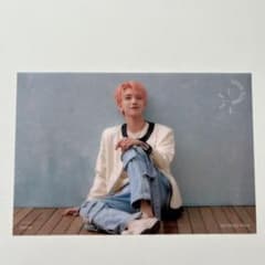 SEVENTEEN 舞い落ちる花びら クリアポストカード ジョシュア - メルカリ