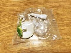 キノコとアマガエル　ドクツル＆テングのサムネイル