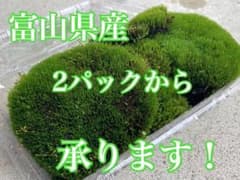 日本集運 | Mercari
