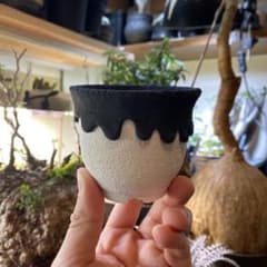 m30972795182_1.jpg?1713102731