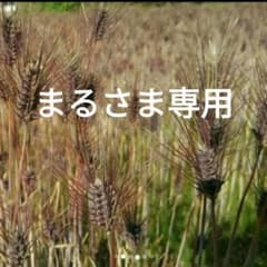 自然栽培　ダイシモチ麦3kgのサムネイル