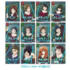 響け！ユーフォニアム 新北宇治高校吹部紹介 プロフィールカードセット