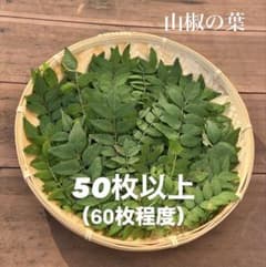山椒の葉　50枚以上　無農薬のサムネイル