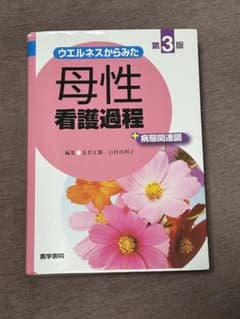 母性看護過程のサムネイル