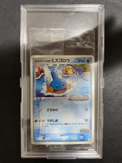 ポケパークのミズゴロウ 未開封 048/PCG-P プロモ ポケモンカード