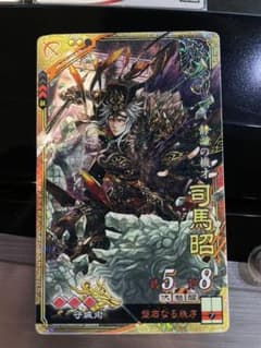 三国志大戦　司馬昭　守城　攻攻攻　ぽけっとのサムネイル