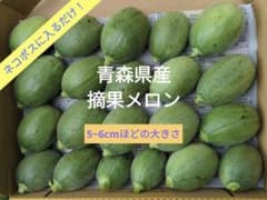青森県産 摘果メロン 5〜6cmのサムネイル