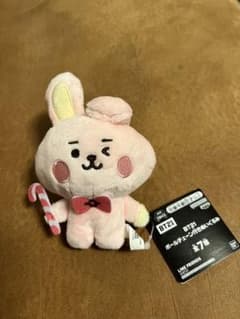 BT21ボールチェーン付きぬいぐるみ ☺︎ COOKYのサムネイル