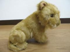 仔ライオンのぬいぐるみ【BESTEVER】体長41cm ベストエバー - メルカリ