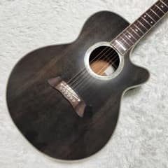 TAKAMINE TRE110 SBL 訳あり TAKAMINE TRE110 SBL 訳あり - メルカリ