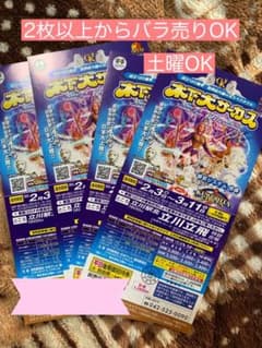 木下大サーカス 立川公演　土曜日OK 4枚　招待券　自由席のサムネイル