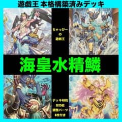 遊戯王 海皇 水精鱗 本格構築済み デッキ ドラガイト大会構築