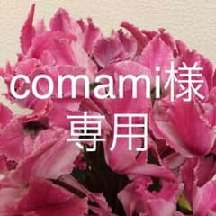 comami様専用 夏用 学生服 シャツ 半袖2枚組のサムネイル