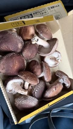 と*も様 大分県産　原木生椎茸　露地物のサムネイル