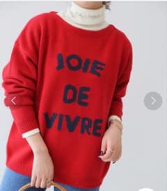 スローブイエナ　JOIE DE VIVRE　ロゴインターシャプルオーバー　ニットのサムネイル