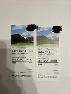 7月11日　日ハムVSライオンズ　 観戦チケット 2枚 花火大会付のサムネイル