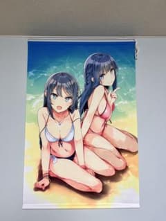 C96 Ntype 溝口ケージ 青春ブタ野郎 B2タペストリー 水着のサムネイル