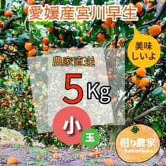 宮川早生みかん小玉5キロ箱のサムネイル