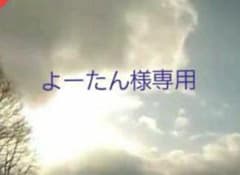 よーたんさん専用です。のサムネイル