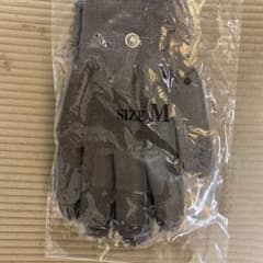 シルバーグローブのサムネイル