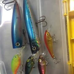 ★★様専用のサムネイル